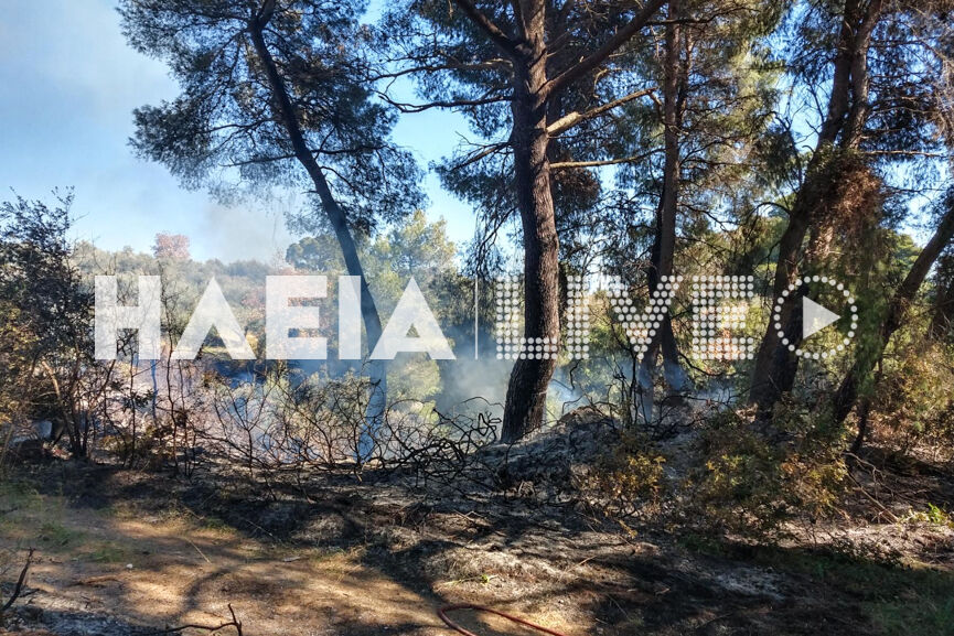 fotia anemoxori 3