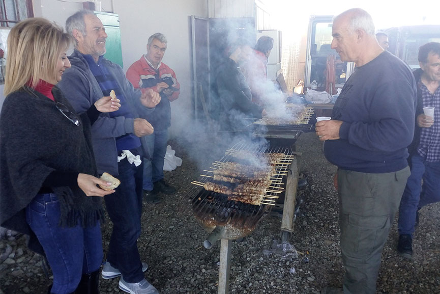 dimos piniou tsikno 2