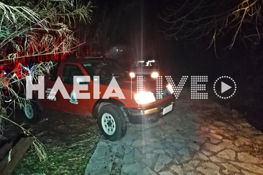 diasosi neda 2 2