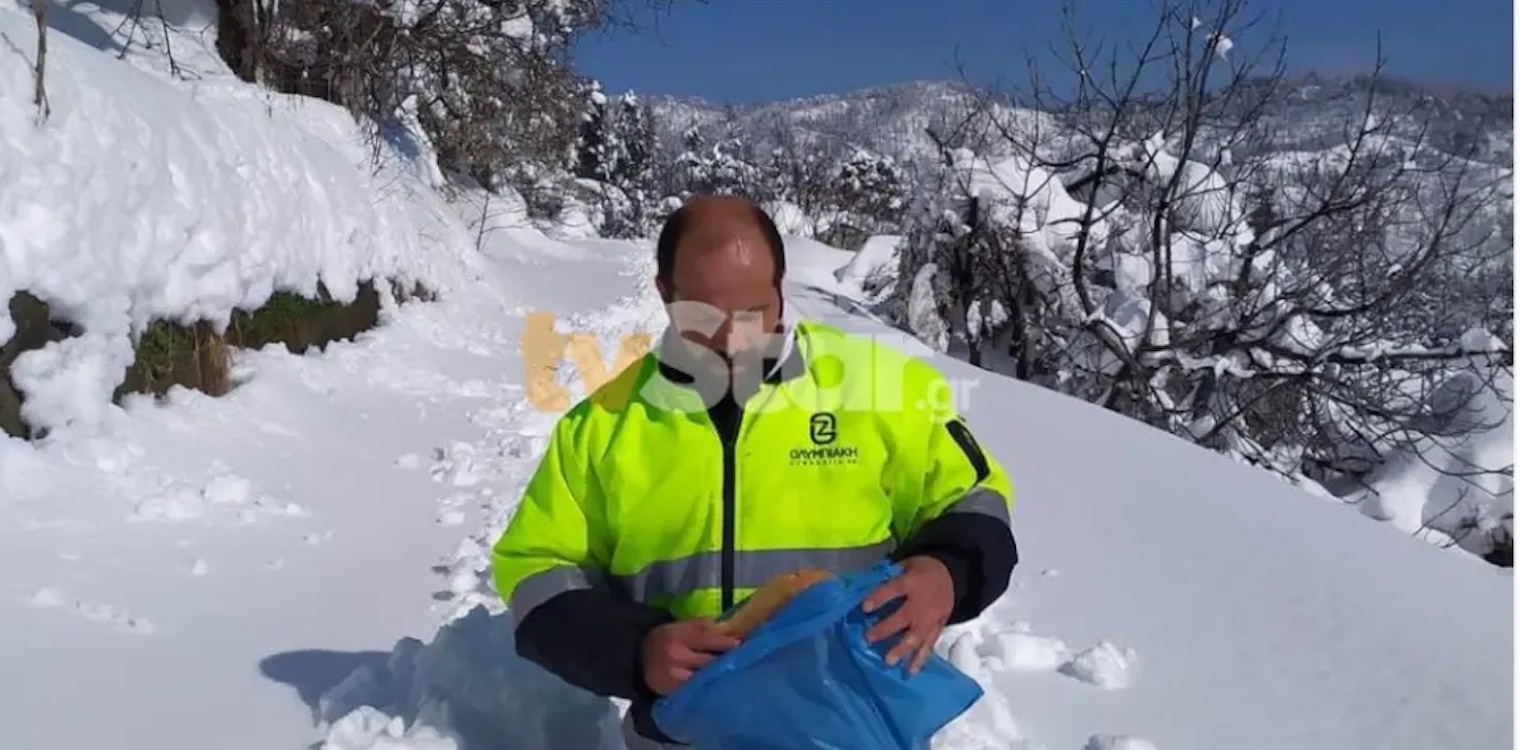 Κακοκαιρία «Φίλιππος» - Βόρεια Εύβοια: Δεν διακρίνονται από το χιόνι οι δρόμοι, δείτε φωτογραφίες