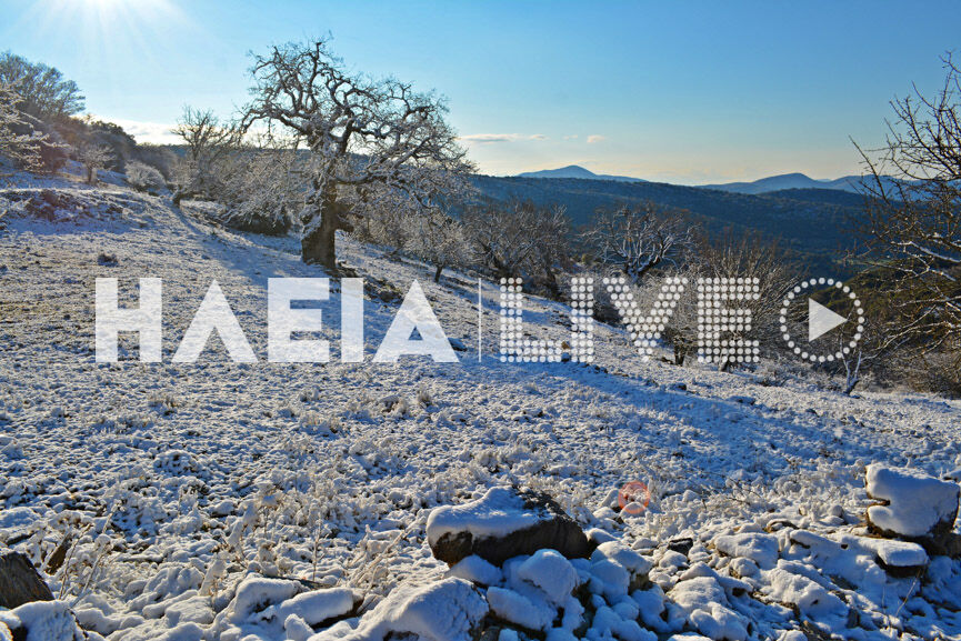 figaleia snow 5