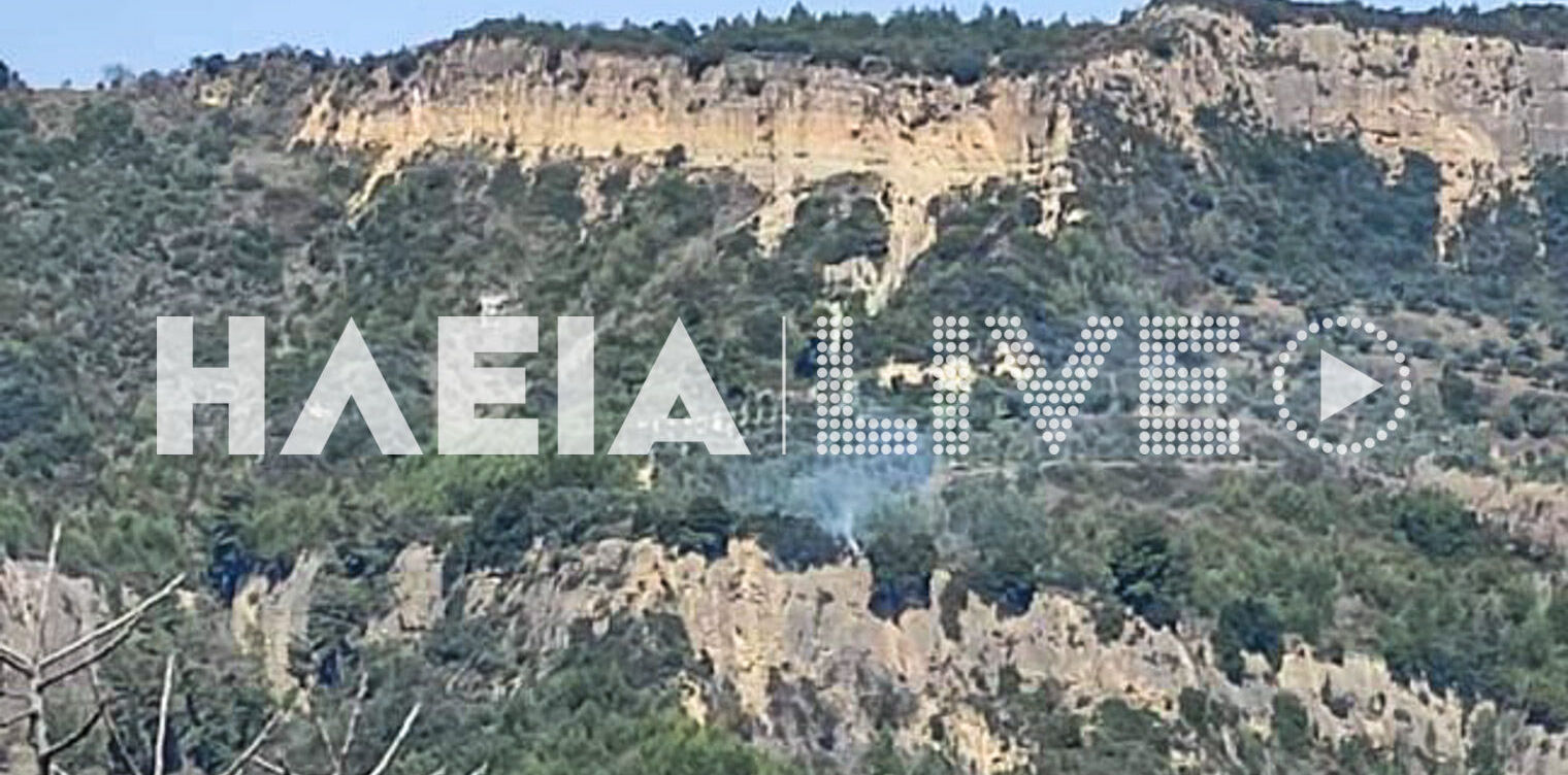 Ώλενα: Μια σύλληψη για εμπρησμό εξ αμελείας στη χθεσινή πυρκαγιά