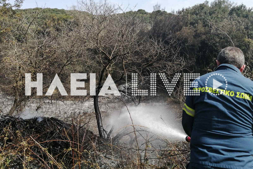 fotia tragano 4