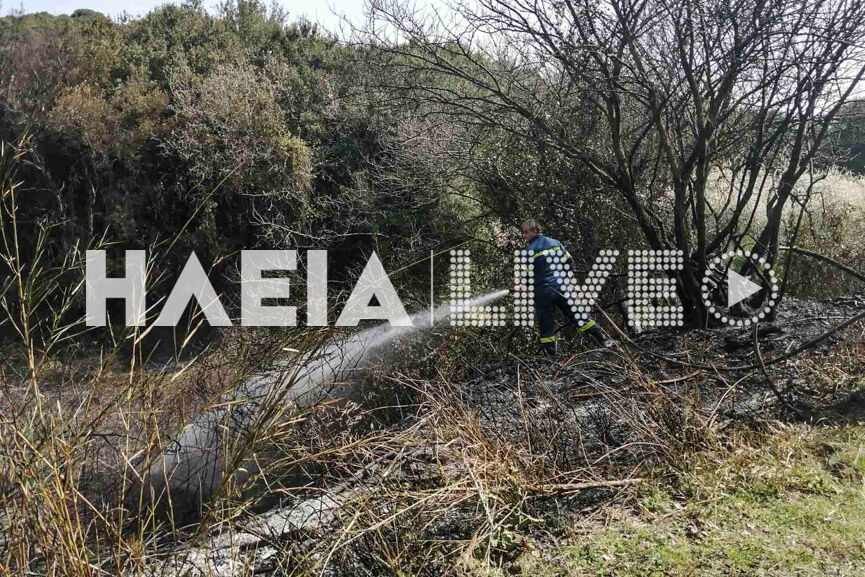 fotia tragano 5