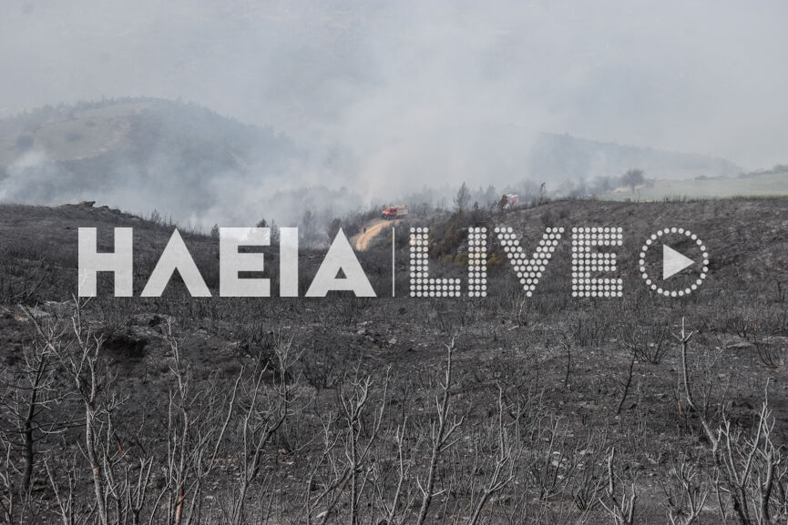 Livadaki next 7