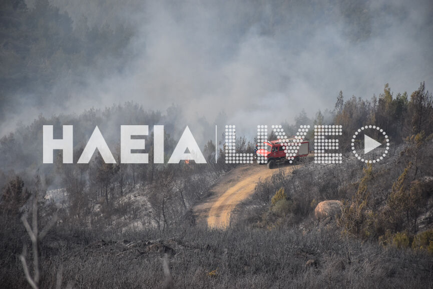 Livadaki next 8