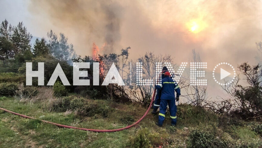 Livadaki proi 2 2