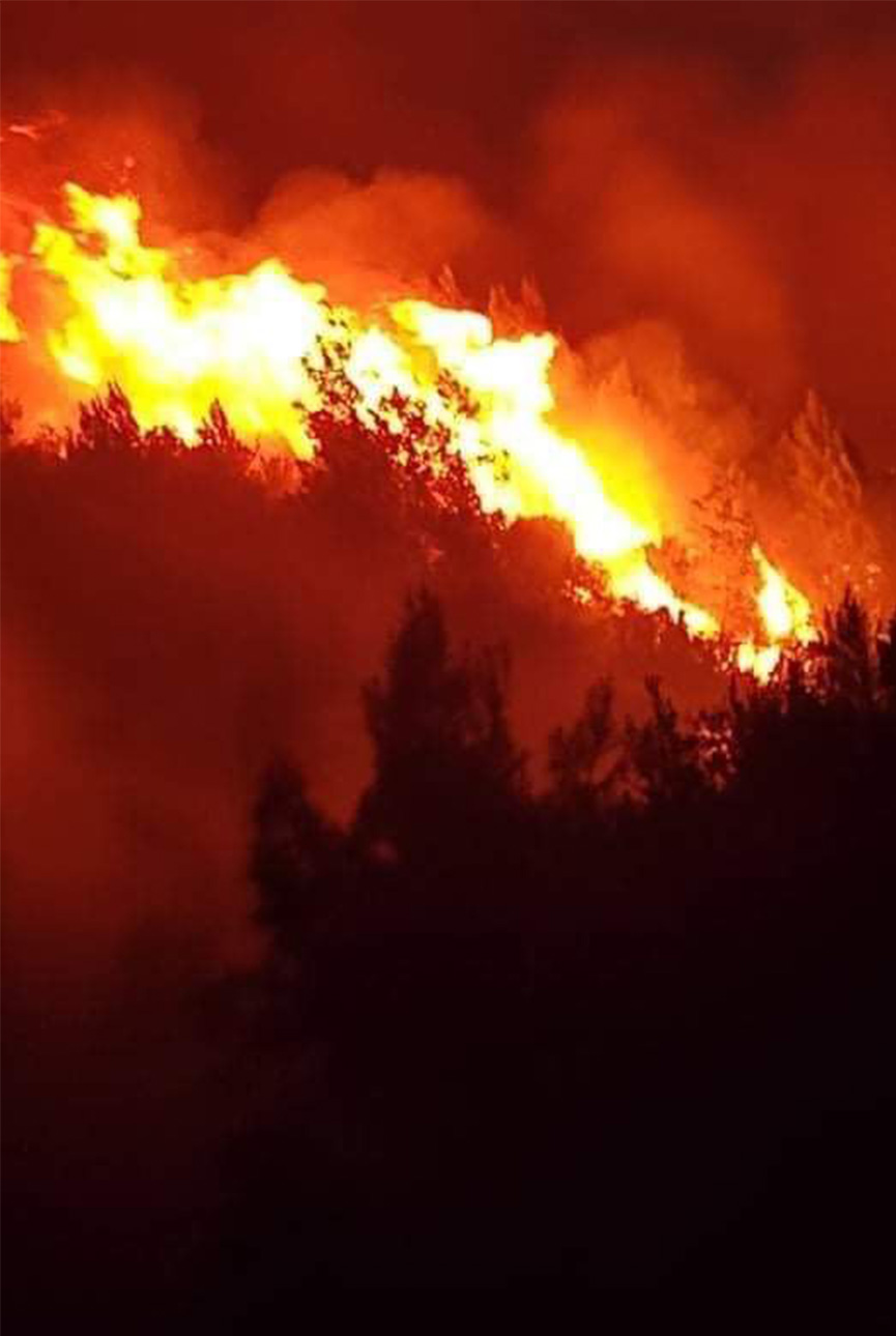 fotia nikolakopoulou aggeliki 2