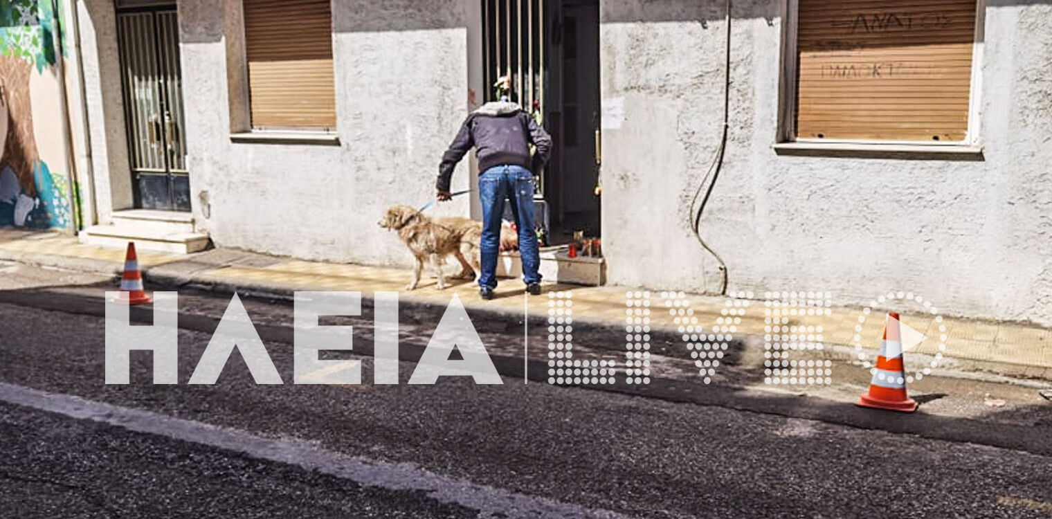 Πάτρα: Απομάκρυναν το σκυλί του Μάνου Δασκαλάκη από το σπίτι - Κόσμος αφήνει λουλούδια και μπαλόνια στη μνήμη των παιδιών
