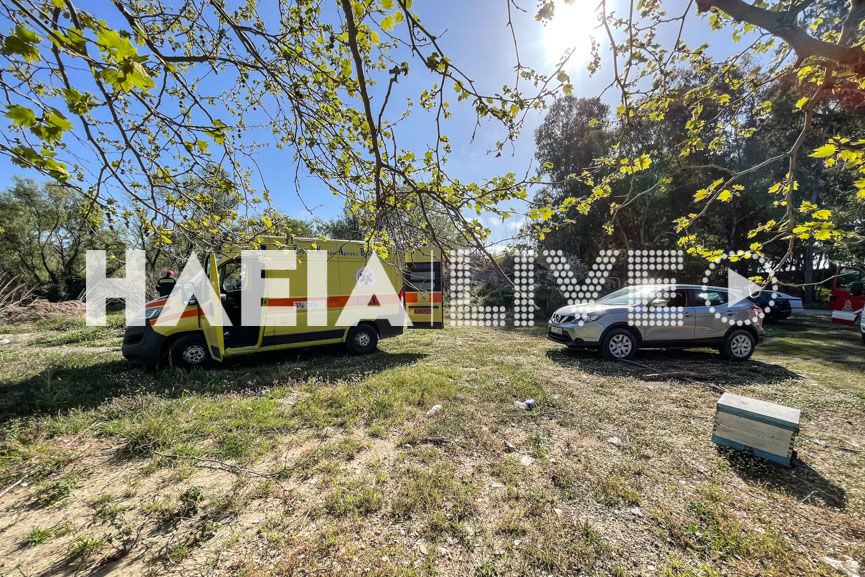 autoktonia new 4