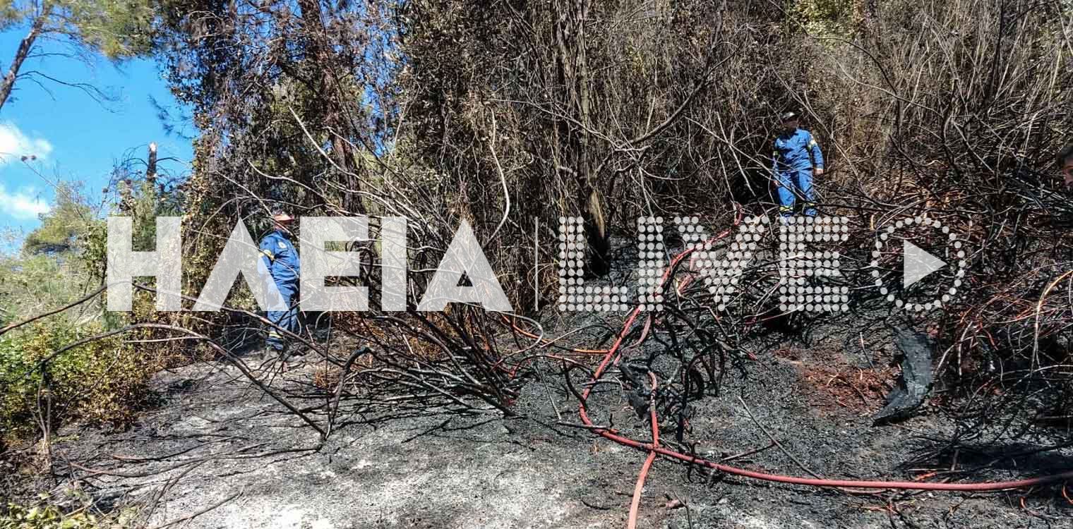 Βασιλάκι: Πυρκαγιά σε αγροτοδασική έκταση σε εξέλιξη