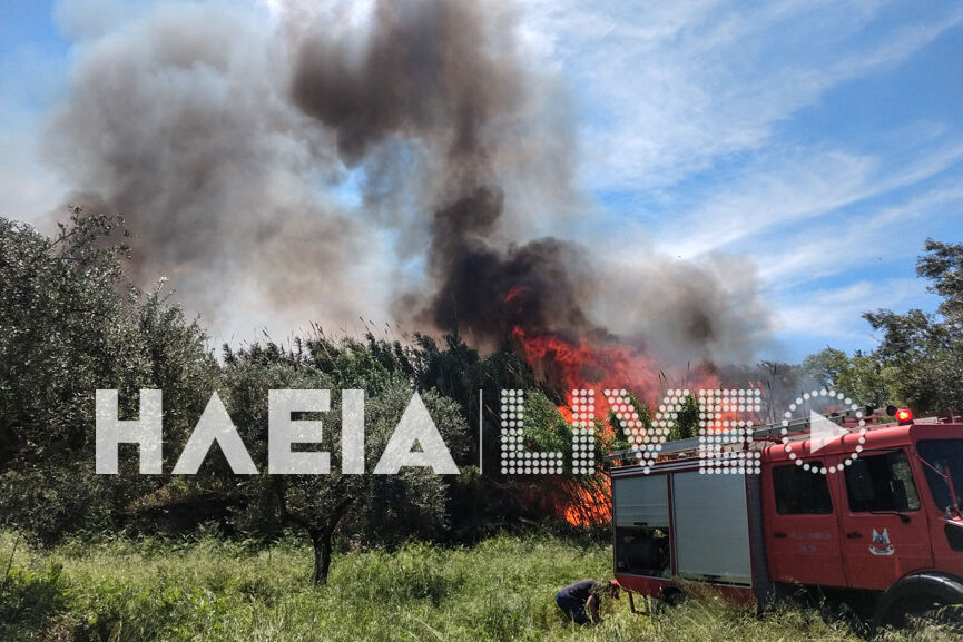 fotia lasteika 3