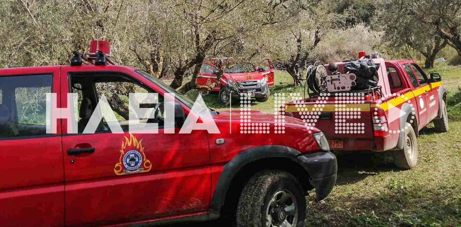 Μάτεσι Ανδρίτσαινας: Μια σύλληψη για εμπρησμό από αμέλια