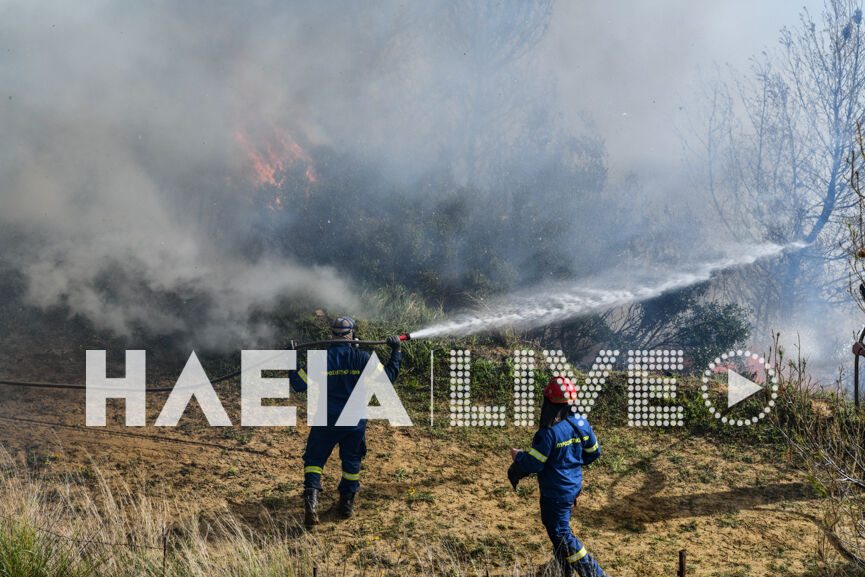 pirkagia lantzoi 17