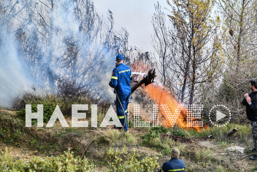 pirkagia lantzoi 20