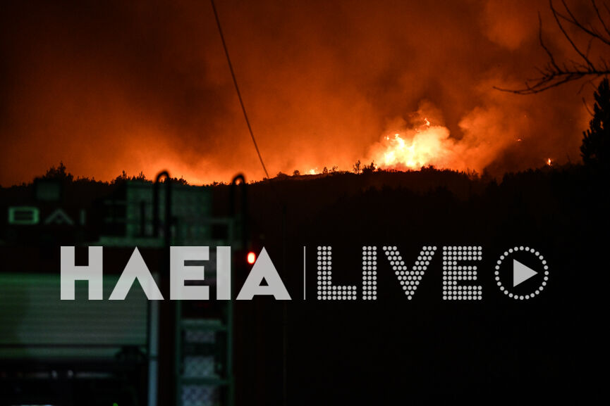 Livadaki nixta 15