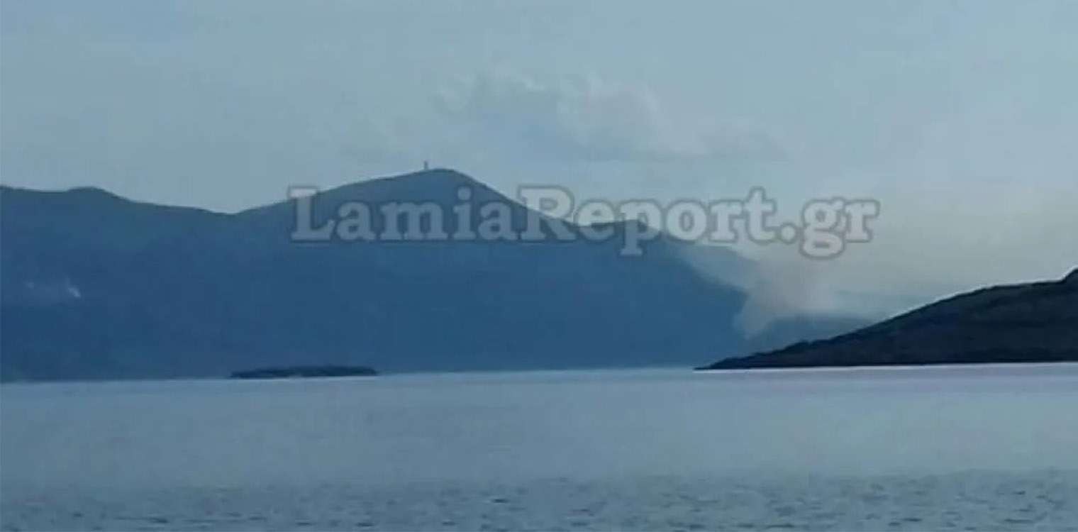 Φωτιά: Μεγάλη κινητοποίηση της Πυροσβεστικής για δύο πυρκαγιές στην Εύβοια - Σηκώθηκαν πέντε αεροσκάφη