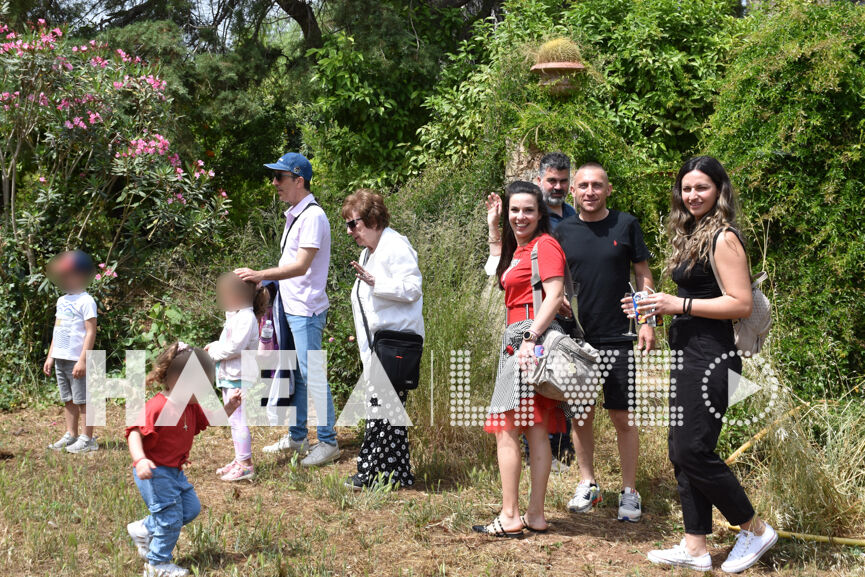 merkouri 5