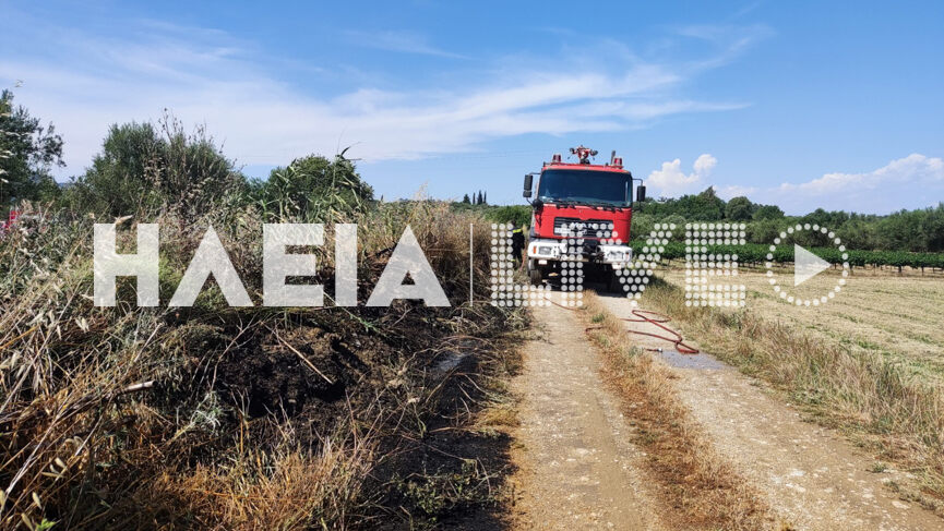 Fotia Prasino 4