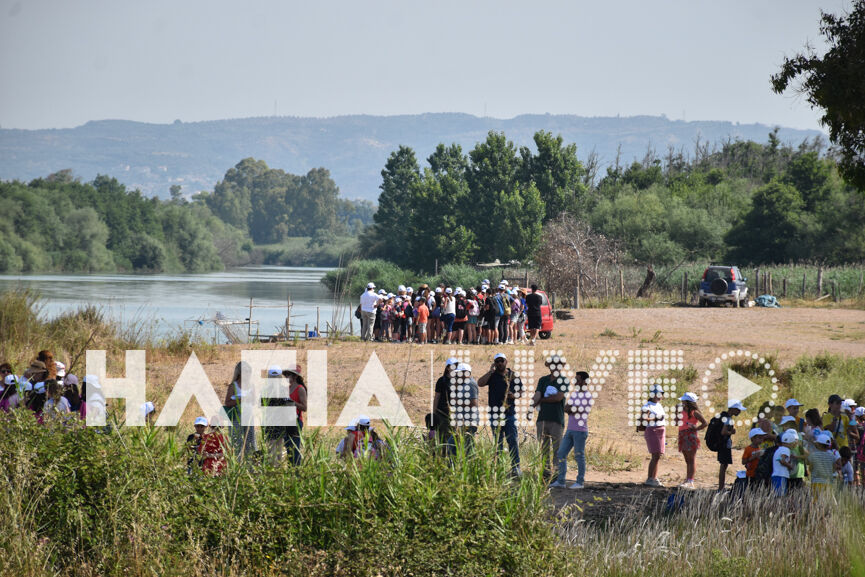 alfeios mathites 2