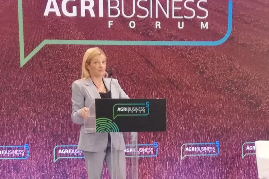 avgerinopoulou agribusiness 2