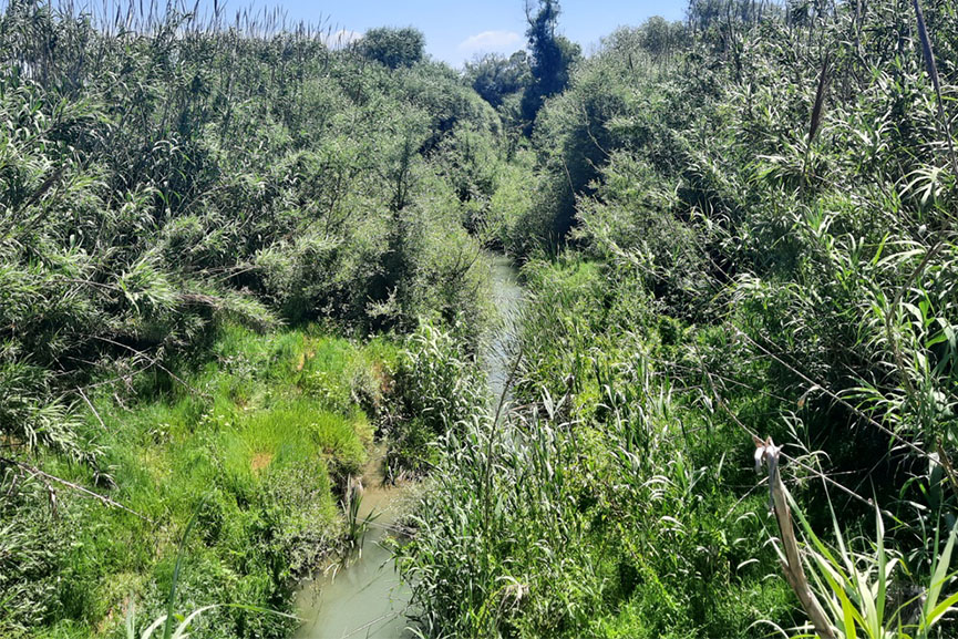 iardanos potamos kath 3
