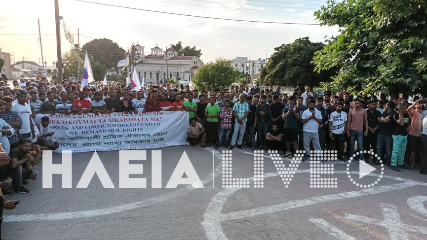 manolada 6