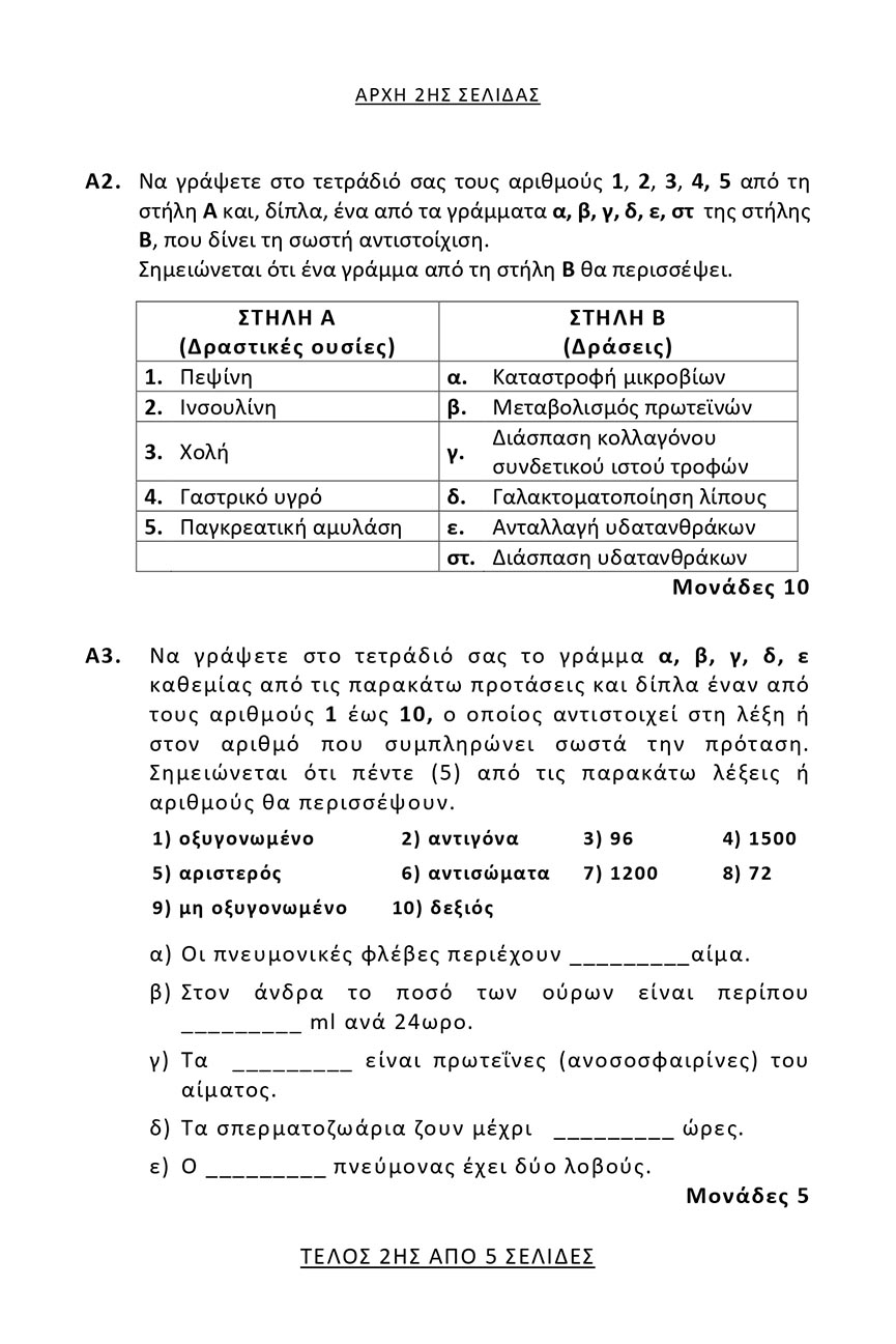 themelio anatomia fysiologia epal 2