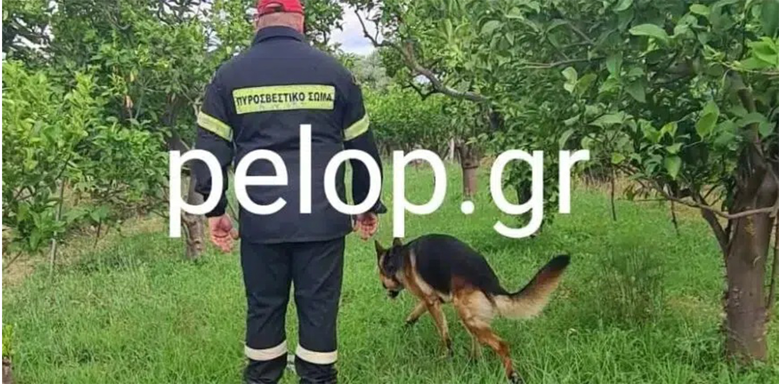 Αιγιάλεια: Εκτεταμένες έρευνες για 71χρονο με προβλήματα υγείας – Μετέχει σκύλος της 6ης ΕΜΑΚ Πάτρας