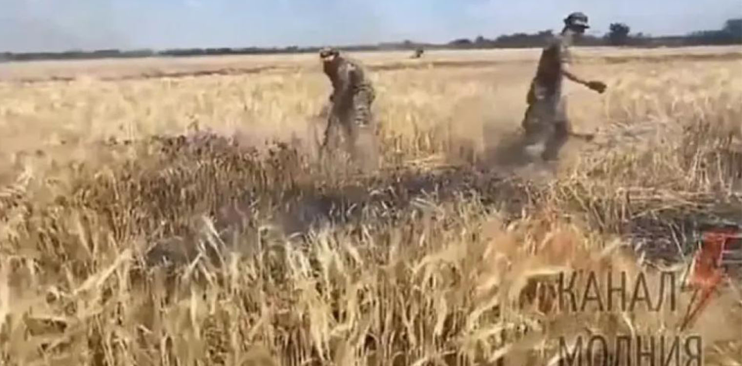 Αγωνία για την επισιτιστική κρίση - Οι Ρώσοι καίνε χωράφια με σιτηρά στην Ουκρανία