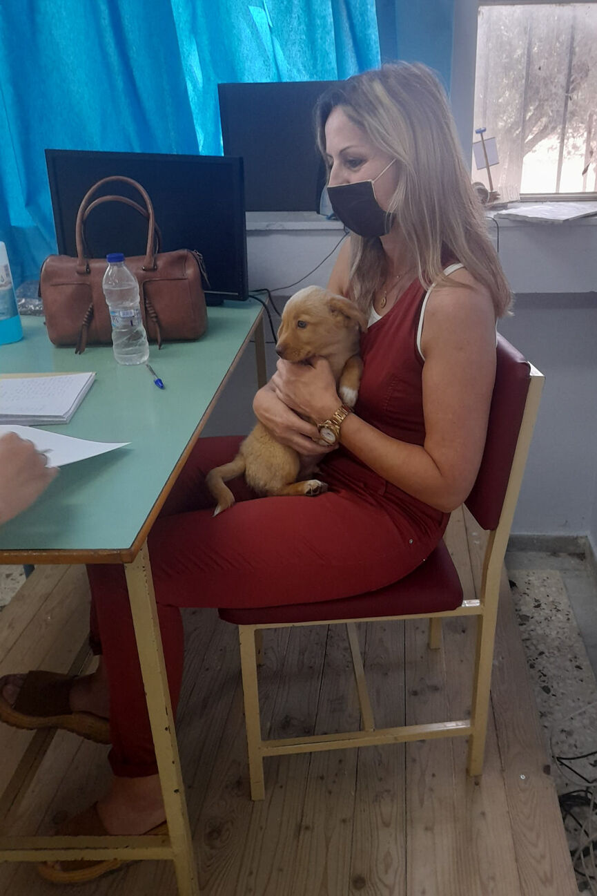 puppy 10