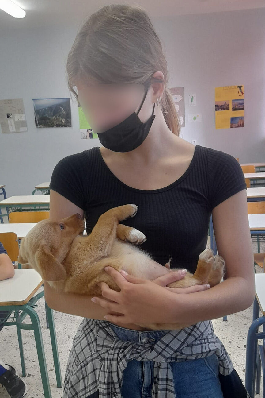 puppy 3
