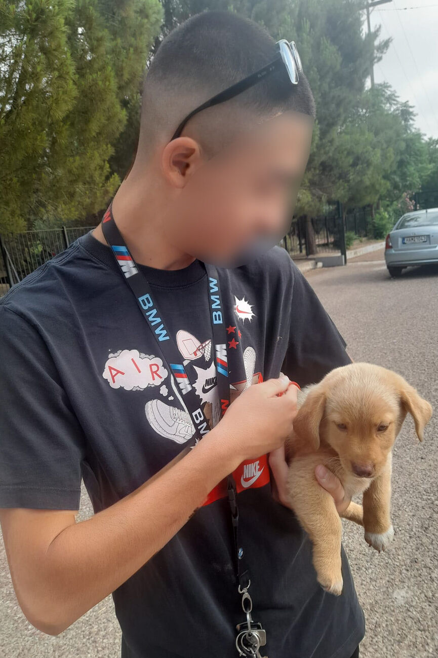 puppy 4