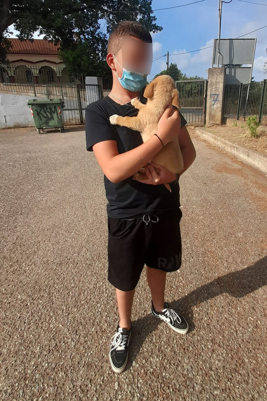 puppy 5