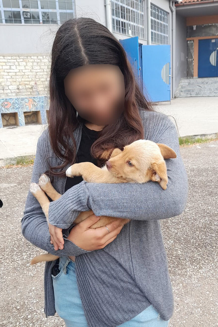 puppy 7