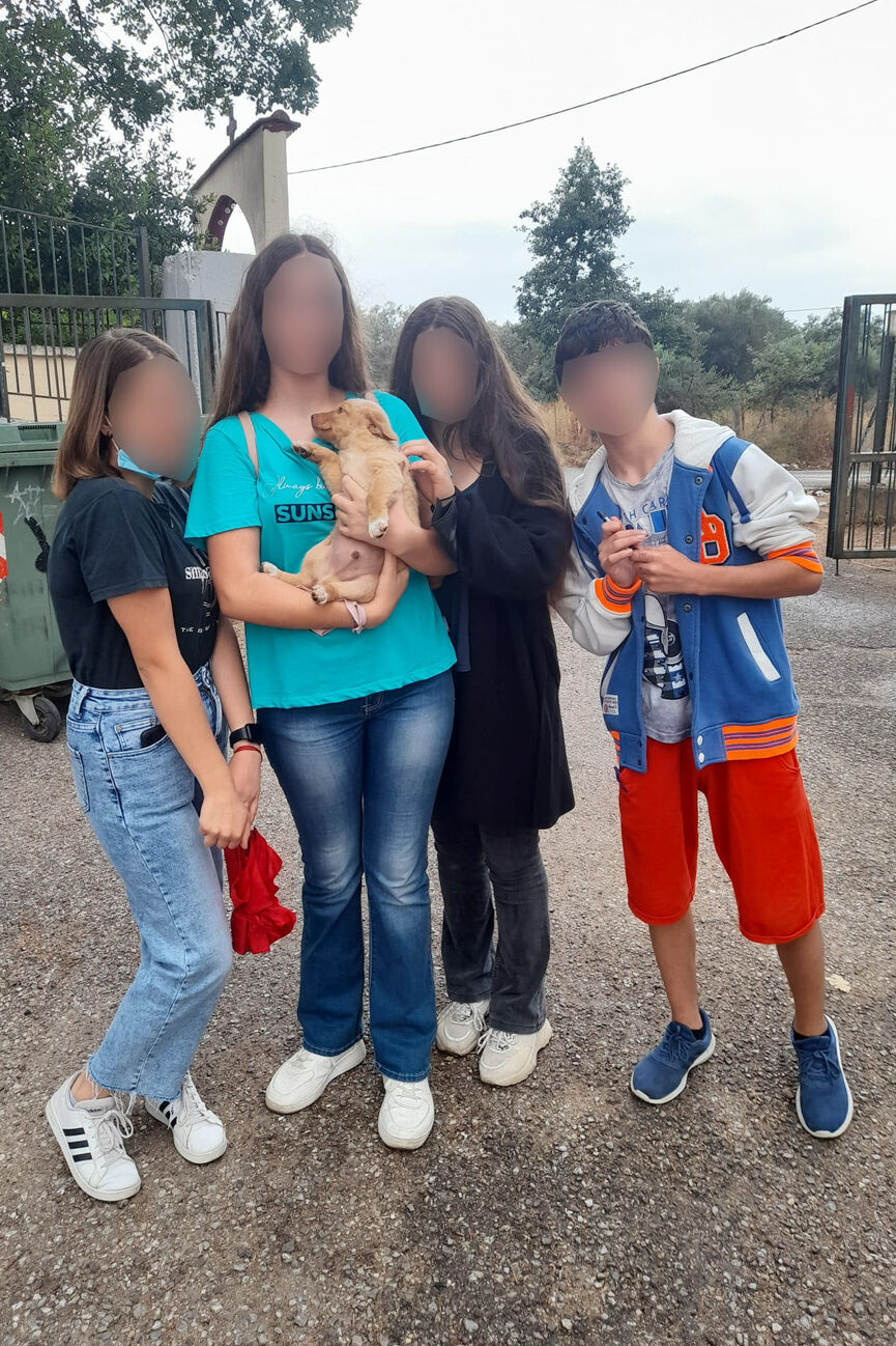 puppy 8