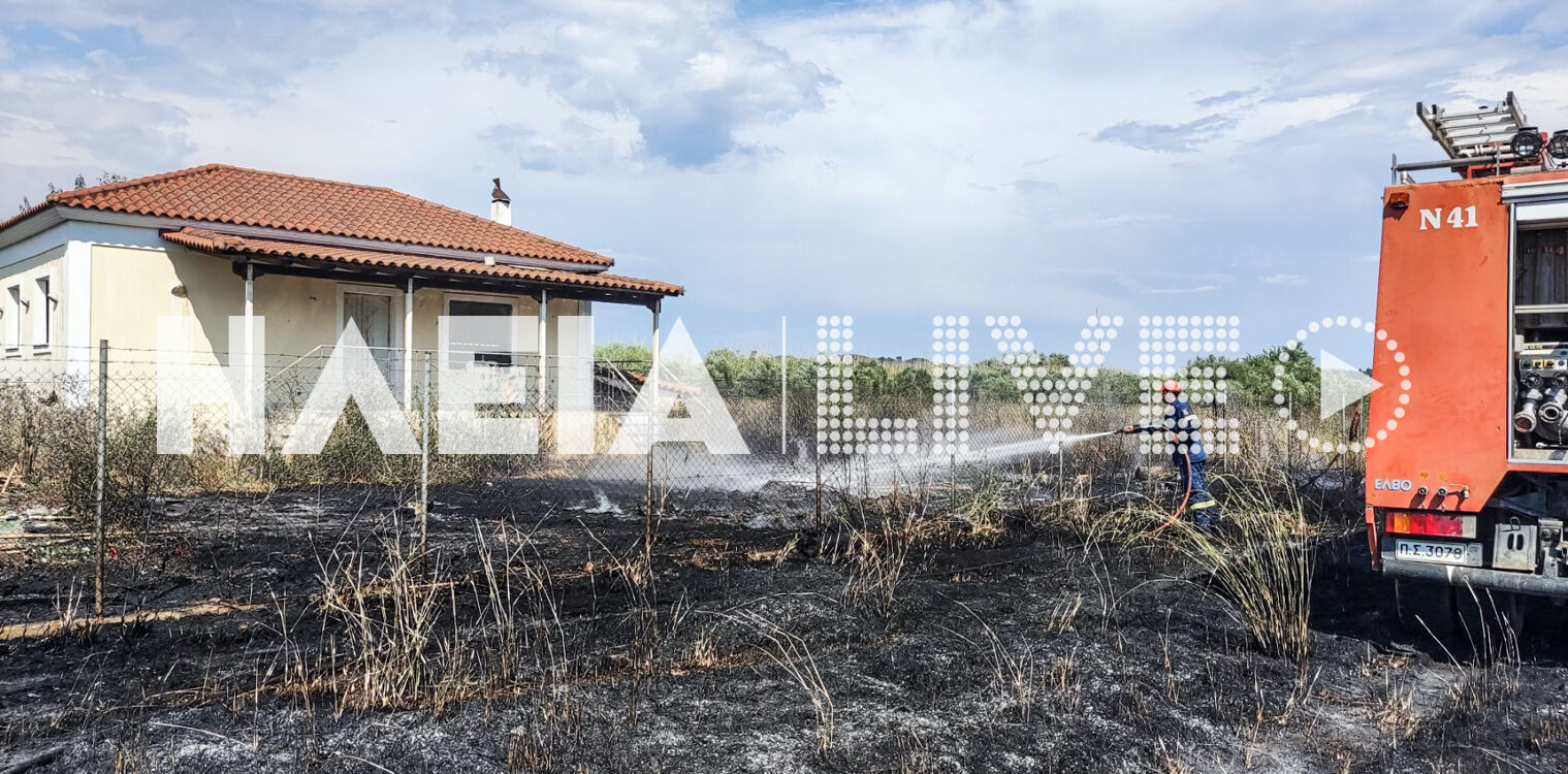 Πράσινο Πύργου: Πυρκαγιά έκαψε δύο στρέμματα - Κινδύνεψε σπίτι σε ακαθάριστο οικόπεδο