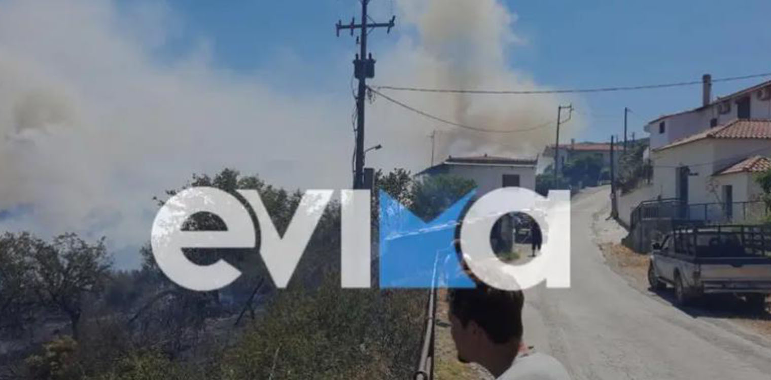Φωτιά στον Κρεμαστό Εύβοιας - Οι δυνατοί άνεμοι δυσκολεύουν το έργο των πυροσβεστών