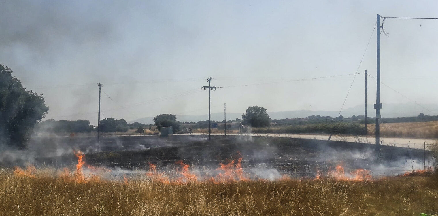 Μέλισσα: Κινητοποίηση για πυρκαγιά στα Κωνσταντινοπουλέικα