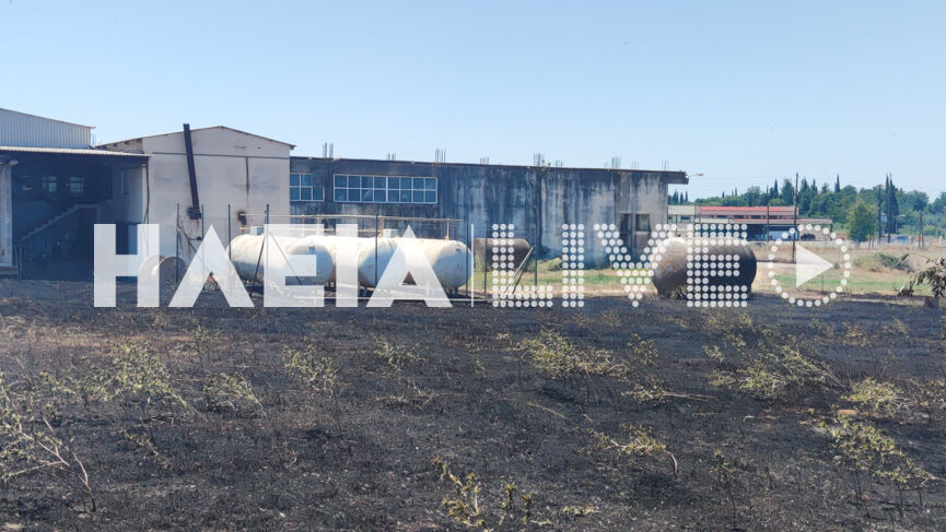 Fotia Xavari 12 2