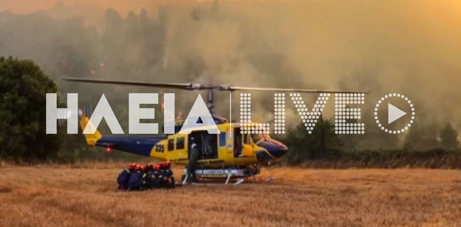 Η αερομεταφερόμενη Ειδική Μονάδα Δασικών Επιχειρήσεων στη φωτιά της Βάλμης (video)