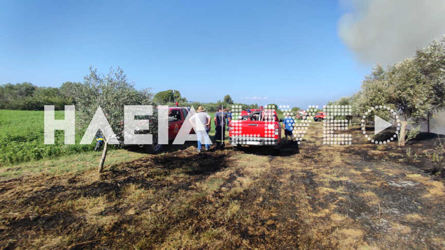 fotia liokoki 5