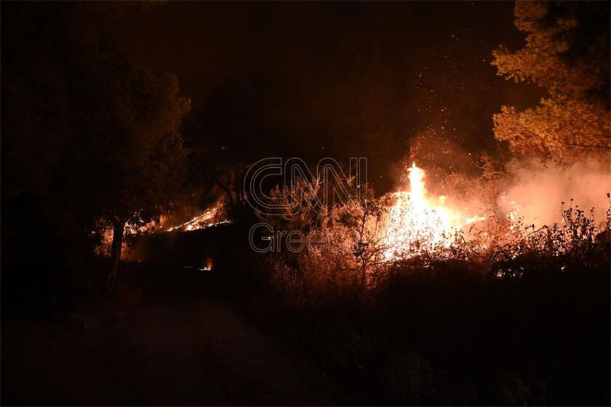 fotis fokida cnn 2