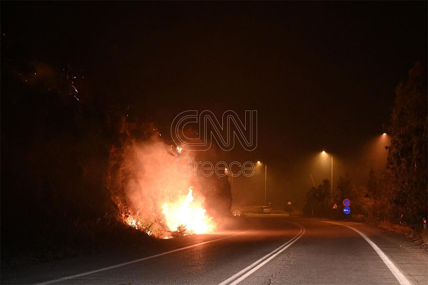 fotis fokida cnn 4