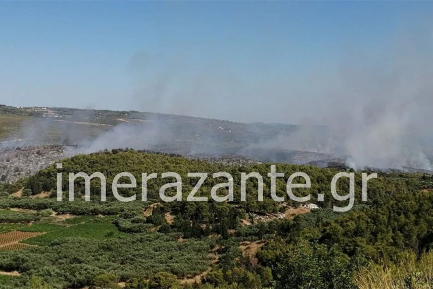 kampi zakunthos fwtia 2