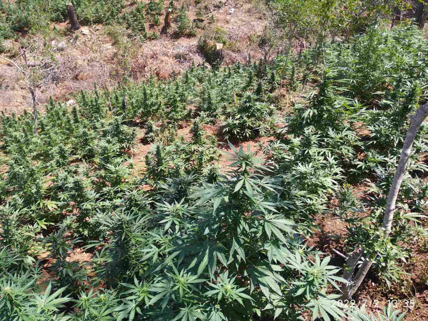 narkotika korinthos 2