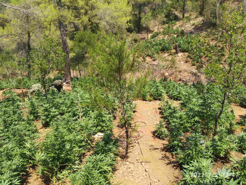 narkotika korinthos 3