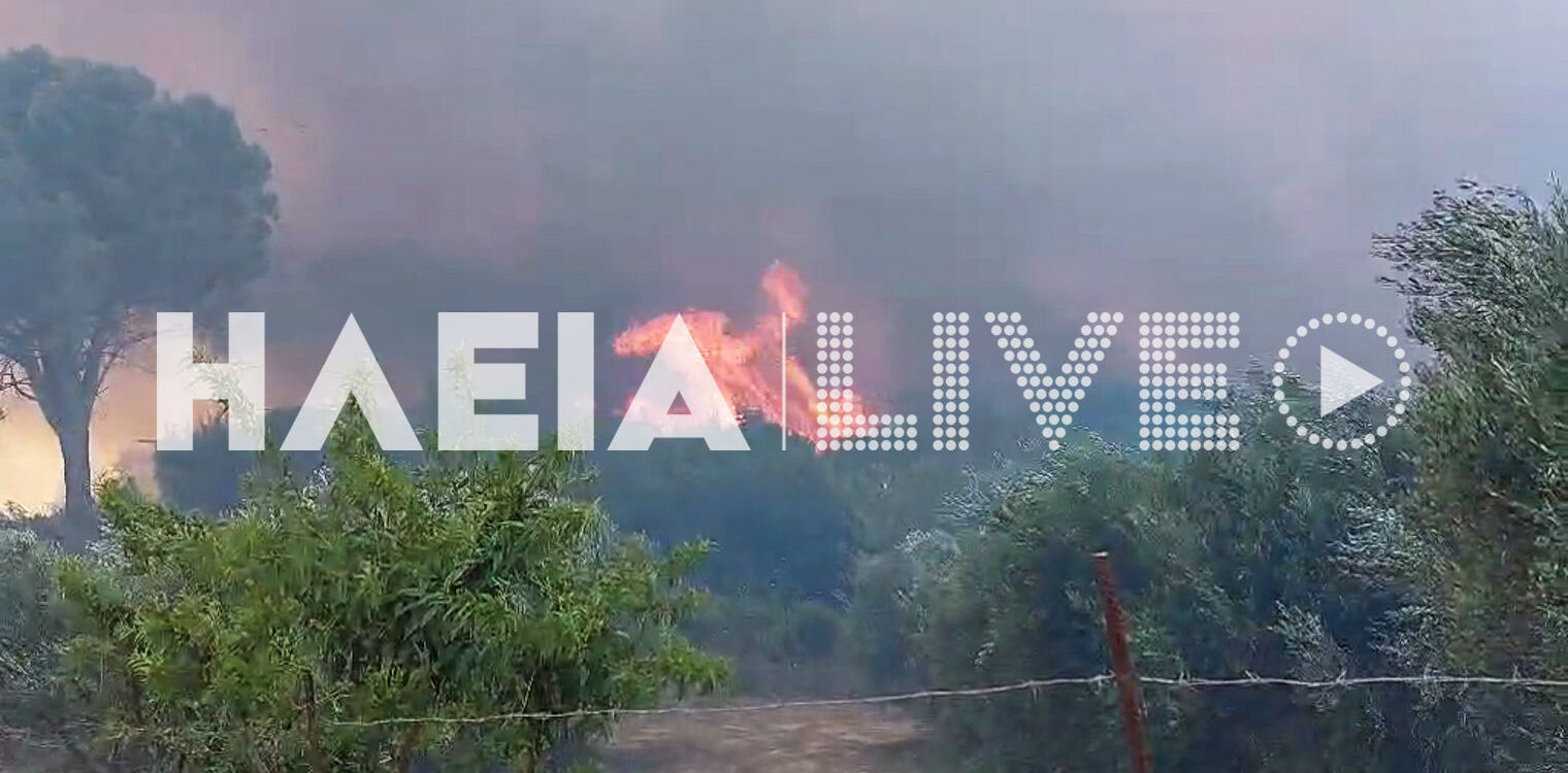Νέα σοβαρή αναζωπύρωση στην πυρκαγιά της Πηνείας - Κινείται προς Λάττα - Εντολή για εκκένωση (video)