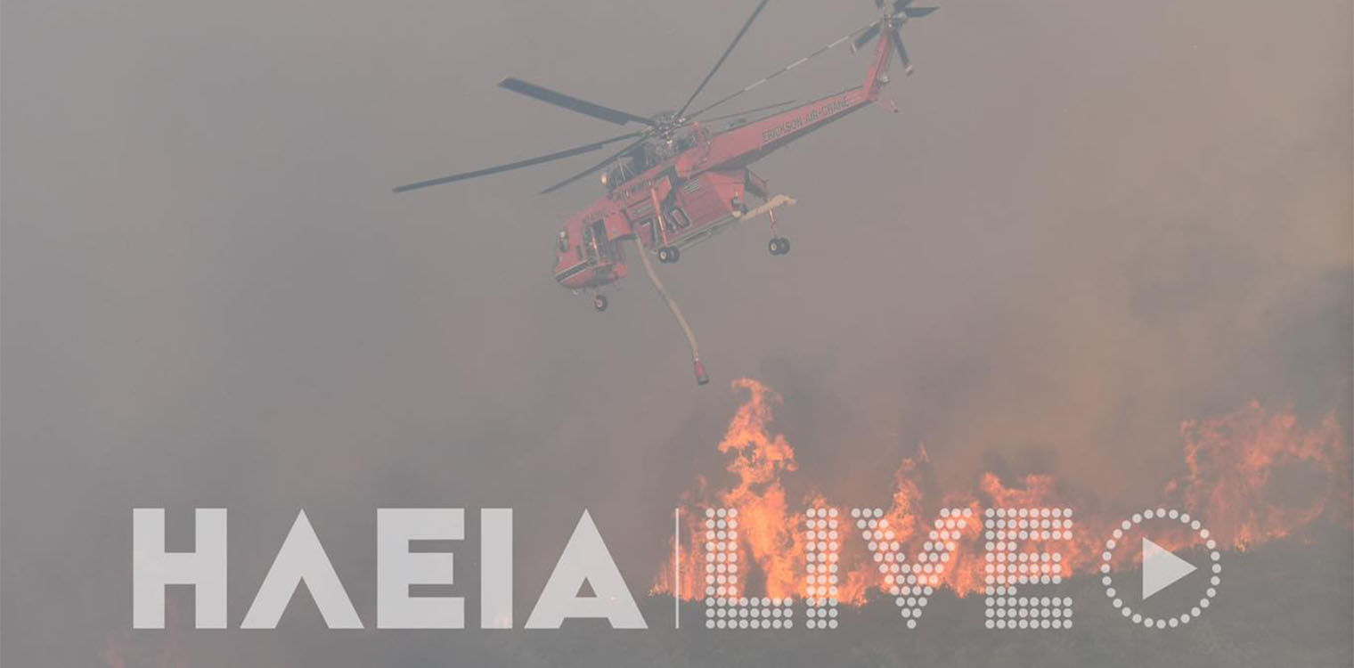 Νέες εικόνες απο την πυρκαγιά στη Βάλμη Πηνείας (photos & video)