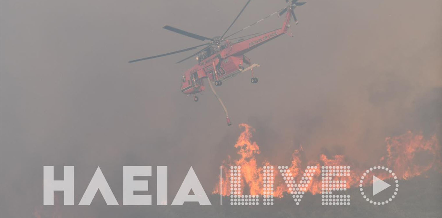 Νέες εικόνες απο την πυρκαγιά στη Βάλμη Πηνείας (photos &amp; video)